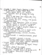 HED 87 Nutrition Chapter 4