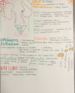 Nursing 2050 - Disease in Urinary Elimination