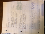 Spanish 311