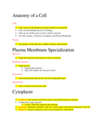 Week 3 Chapter 3 Notes
