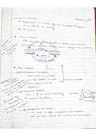 Principle of Economics: Week 2 Notes 
