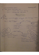 Principles of Economics: Week 3 Notes 