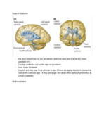 PSY 2301 - Biological Foundations of Behaviour
