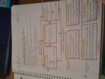 Marketing, Week 2 Notes