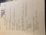 First 3 Lectures