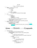 Chapter 3 Class notes