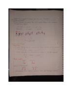 CHEM 243-Week 3 Notes