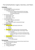 Chapter 4: Carbohydrates