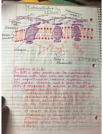 BIO 183: Introduction to Cell and Microbiology - Week 3