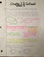 Chemistry 110, Week 3 Class Notes