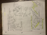 Biology 1402, Week 4 