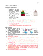 set 4 ANAT 212