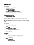 ART 100 Exam 1