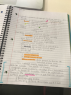 SOC 301, Week 3 Notes