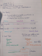 Week 3 Tuesday Notes