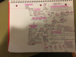 MCB 450: Intro to Biochemistry