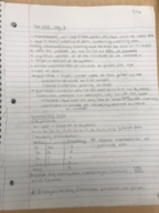 Stats Week 1 Notes