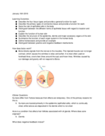 Lesson 2: Organization and Regulation of Body Systems