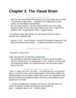 Ch. 3: 363 Sensation and Perception 