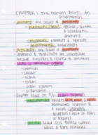 Chapter 1. The Human Body: An Orientation