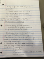 Business Ethics 221 Notes