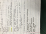 culture and society chapter 4 and ju'hoansi tribe 