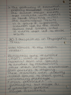 Exam 1 Study Guide/ Important notes 