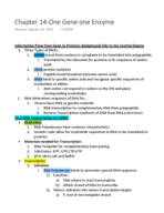 Chapter 14- One Gene One Enzyme