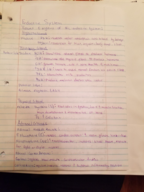 Endoceine S ystem notes