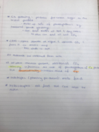 BioEE 1610, Week 3 notes