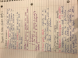 Chapter 5 Notes-Welfare Economics