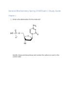 Biochemistry Exam 1 Study Guide