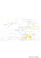 PHYS270