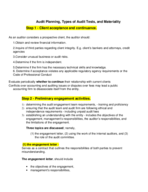 audit planning