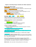 Bio Chapter 8 Notes