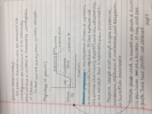 Bac Phys Week 3