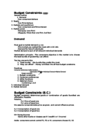 EC311 Class Notes Week1