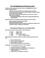 PSB 4240 Neuropsychology ch 3 notes