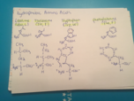Key Concepts 