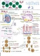 ORGANS lecture. 