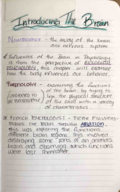 Chapter 2 - Introducing the Brain 