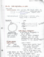 Genetics 351 Week 4 Notes