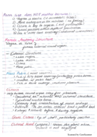 Week 5 Notes