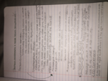 Person-Environment and Social Issues Perspectives