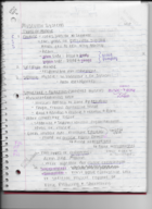 KIN 202 Week 2 Notes