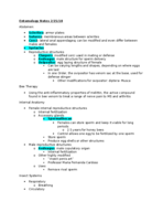 Entomology Lecture 9 Notes