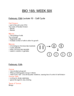 BIO 165, Week 6 Notes