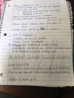 Psych 378 week Four notes