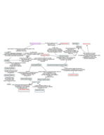 Week 2 Chapter 2 Notes:The Research Process 