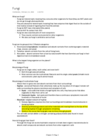 Bio chapter 31